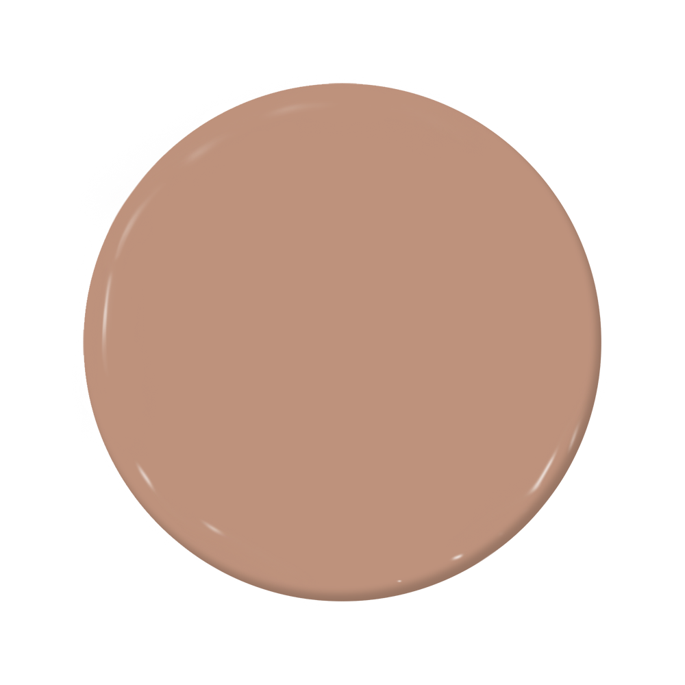 Berry Brown - C2-541-C2 Paint