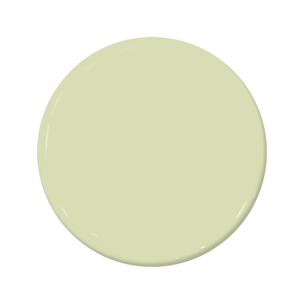 Kiwi - C2-655-C2 Paint